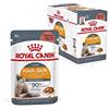 Royal Canin Hair & Skin Care Gravy | 12 x 85 g | Alimento completo per gatti adulti | Gettoni fini in salsa | Può contribuire a un pelo sano