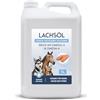 Koi- und Bonsaipark Herdecke Olio di salmone premium da 5000 ml per cani, gatti e cavalli, ricco di acidi grassi Omega 3 e 6, olio di pesce naturale al 100% in tanica da 5 litri