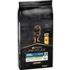 Purina Pro Plan Large Robust Puppy Healthy Start Crocchette Cane - 12 kg - Croccantini per cani - 1° ORDINE? scegli lo sconto BZR5 / BZR20 + 200 punti fedeltà