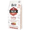 Brit Care Brit Fresh Puppy Manzo e Zucca Large Breed per Cuccioli - 12 Kg, Singola