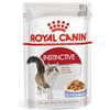 Royal Canin Instinctive Jelly Gatto Busta - 85 g, 12 pezzi