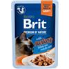 Brit Care Brit Premium Filetti di Tacchino per Gatti - 85 g, Singola