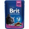 Brit Care KIT 6x Brit Premium Pezzi di Pollo e Tacchino per Gatti - 100 g, 6 pezzi - PREZZO A CONFEZIONE