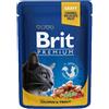 Brit Care KIT 12x Brit Premium Pezzi di Salmone e Trota per Gatti - 100 g, 12 pezzi - PREZZO A CONFEZIONE