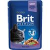 Brit Care KIT 12x Brit Premium Pezzi di Merluzzo per Gatti - 100 g, 12 pezzi - PREZZO A CONFEZIONE