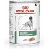 Royal Canin Veterinary Diet Royal Canin V-Diet Cane Satiety Weight Management Umido - 410 g