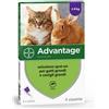 Advantix Elanco Advantage Spot-On per Gatti, Conigli e Furetti - 4 Pipette, Piccola
