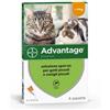 Advantix Elanco Advantage Spot-On per Gatti, Conigli e Furetti - 4 Pipette, Media