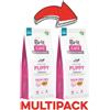 Brit Care KIT 3x Brit Care Puppy Grain Free Salmone e Patate - 12 Kg, 3 pezzi - PREZZO A CONFEZIONE