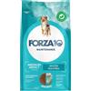 Forza10 Medium Adult Maintenance al Pesce - 2 Kg, Singola