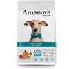 Amanova Adult Exigent Maiale Iberico per Cani - 10 Kg, Singola