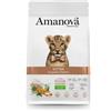 Amanova Kitten al Pollo per Gattini - 1.5 Kg, Singola