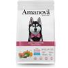 Amanova Adult Sensitive Salmone per Cani - 2 Kg, Singola