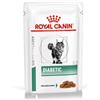 Royal Canin Veterinary Diet KIT 12x Royal Canin V-Diet Diabetic Gatto Busta - 85 g, 12 pezzi - PREZZO A CONFEZIONE