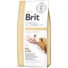 Brit Care Veterinary Diet Brit Veterinary Diet Hepatic Uova e Piselli per Cani - 12 Kg