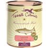 Terra Canis KIT 6x Terra Canis Salmone con Miglio, Pesca ed Erbe Aromatiche - 800 g, 6 pezzi - PREZZO A CONFEZIONE