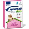 Formevet Fipralone Duo Spot-On per Gatti - 4 Pipette