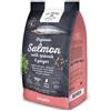 Go Native Adult Salmone Biologico, Spinaci e Zenzero - 800 g