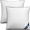 Utopia Bedding Cuscini, Imbottitura per Letto e Come Cuscino decorativi, cuscino per divano, cuscini decorativi (2, Bianco, 40x40 cm)