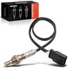 Frankberg Sonda lambda Sonda diagnostica Dopo il catalizzatore 68070702AB | Compatibile con Fiat 500 500C 312, Panda 312 319, Panda Van 312 519, 4-Poli, 250-241045, 234-4483, 18109, 23163, 68070702AB