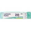 Boiron Lachesis Mutus 200ch Granuli