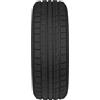 Fortuna 205 55 r16 94h xl fortuna gowin uhp3
