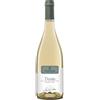 Due Palme Salice Salentino Bianco DOP "Tinaia" 2022 - Due Palme - 0.75L