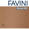 Favini Conf.25 Cartoncino Bristol Color 200Gr 50X70Cm Marrone 75 Favini - Z13063