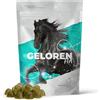 Geloren Additivi per cavalli per giunti HA - Acido ialuronico - Cubi di gelatina naturale per cavalli, per la fornitura di legamenti e articolazioni mela 450 g
