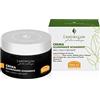 Helan L'Antirughe - Crema Viso Antirughe Skincare Illuminante Schiarente con Vitamina C e E, Crema Idratante Viso Antiage Burro di Karitè e Olio di Argan Antiossidante Skin Care Stimola Collagene 50ml