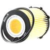 PURFLUX Filtro olio Cartuccia filtro L976