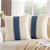 DakTou Federe Cuscini Divano 40 x 40 Cotone Blu Navy Bohémien Copricuscini Decorativi Moderno Casale Intrecciato Strutturato Fodera Cuscini Divano Soggiorno Camera Balcone Esterno 2 Pezzi