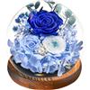 Touloube Rosa Stabilizzata Vera Regalo per la Festa Della Mamma per Donne Mamma Moglie, Avanzate Regalo Donna, Rosa Eterna Fiore Bella e la Bestia con Luci LED, Anniversario Regalo Rosa Moglie Nonna, Blu