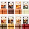 SALKING Autunnale Set di Tart Profumate Cera per Lampada Profumata, 100% Cera di Soia Naturale, Candela Profumata per Ambienti, set Regalo di Profumi di Zucca e Cannella per Halloween, Natale, 8 pz.
