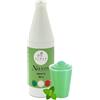 ALMAR GUSTO ITALIANO Almar - Sciroppo Superconcentrato per Granita, Gusto Menta, Da Usare Con Base Granita Naxos, Pronto in Pochi Secondi, Ideale per Bar, Chioschi e Uso Domestico, Senza Conservanti, Bottiglia da 1kg