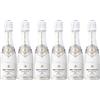 Brut Dargent Ice Chardonnay - Spumante Bianco Blanc de Blancs - Piccolo (6 x 0,20 L)