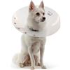 Antica Farmacia Orlandi KVP COLLARE ELISABETTIANO SAF-T-SHIELD 27-36 CM