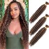 CAZSYSDD Deep Wave Bulk Hair for Braiding 22 inch No Weft Deep Wave Bundles Curly Braiding Hair Extensions for Boho Braids and Wavy Braiding 2 Braids Per Pack (P4/30#, 22inch (3pack))