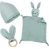 BINYI Regalo per bambini e bambine, set regalo per neonati, 3 pezzi, regalo per la nascita con panno per affusolare, coniglietto e massaggiagengive in legno e bavaglino per neonati, per baby shower (menta)