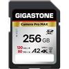Gigastone [5 anni di recupero dati 0]GIGASTONE A2 Scheda di Memoria SDXC 256GB, 4K Camera Pro, Velocità 120 MB/s Fotocamera Canon Nikon Sony Panasonic, U3 UHS-I Classe 10 4K UHD Video, 1 Mini Custodia