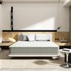 DEWINNER Materasso Memory 160 x 200 cm, spessore 30 cm, materasso a memoria in schiuma, 7 zone, fermezza media, sollievo dei punti di pressione, antiacaro, 160 x 200 x 30 cm