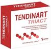 SIFRA SRL Tendinart Triact 20 Bustine