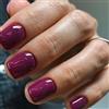 Boloshine 24 Pezzi Unghie Finte Corte Quadrate, Tinta Unita Premere sulle Unghie Francese Fake Nails, Ballerina Copertura Completa Press on Nails per Donne e Ragazze Nail Art, Giardino di Violette
