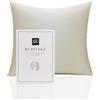 RUIPTSKE Federa per cuscino in seta 100% seta 22 momme certificata Oeko-TEX®, benefici per capelli e pelle, anti età, anti acaro (beige, 40 x 40 cm)