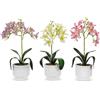 GT - Pianta artificiale Orchidea in vaso - h37 cm diametro 11 cm