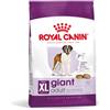 ROYAL CANIN Giant Adult 15kg cibo secco per cani adulti, dai 18/24 mesi di età, razze grandi