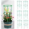 IGTOPS 6 pezzi da giardino per traliccio, gabbia per pomodoro, supporto per piante da giardino, pali di tipo fiore, supporto per anello rotondo per peonie, ortensie, pomodori, rose