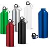 hi!dea™ Borracce sportive in alluminio con moschettone 800 ml LANDSCAPE L personalizzate o neutre