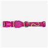 Zee.Dog Collare Regolabile per Cani Jelly H3D, l-45-70x25cm