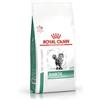 Royal Canin Cat Veterinary Health Nutrition Diabetic Gusto Manzo Alimento Secco Dietetico Completo per Gatto Formato 1,5 kg